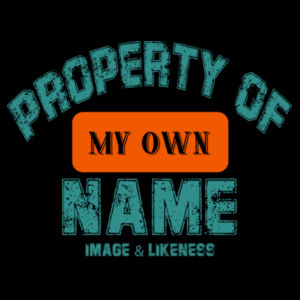 PROPERTY OF MY OWN NAME IMAGE AND LIKENESS Design